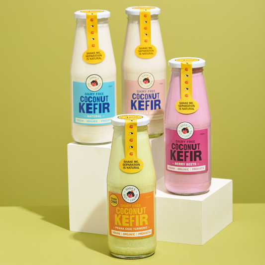 Gaga’s Kefir Sampler All 4 Flavours | Box of 8